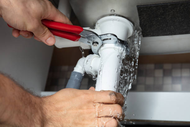Best Flood restoration services  in Holtville, CA