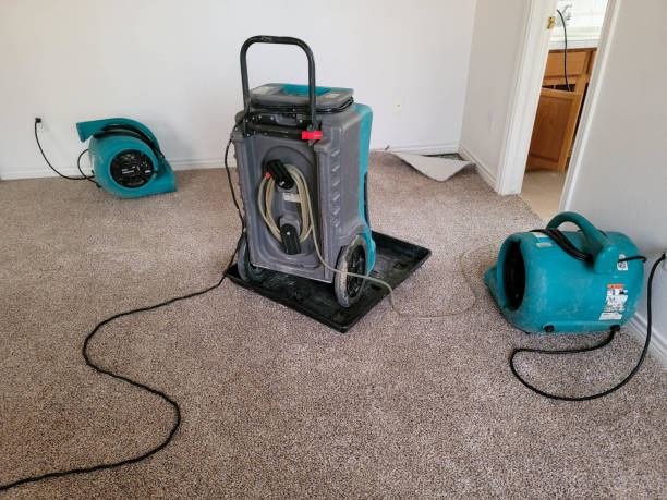  Holtville, CA Water damage restoration Pros