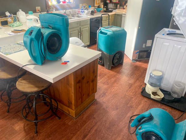 Best 24/7 water damage repair  in Holtville, CA