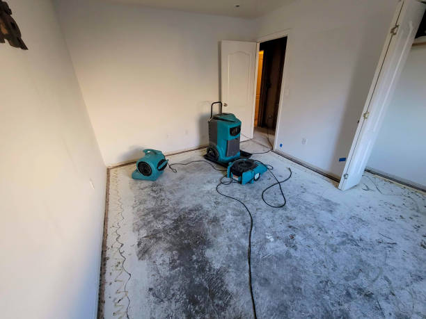Best Water damage contractors near me  in Holtville, CA