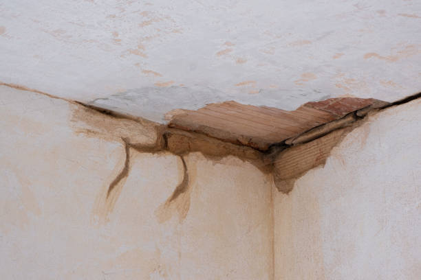 Best Carpet water damage restoration  in Holtville, CA