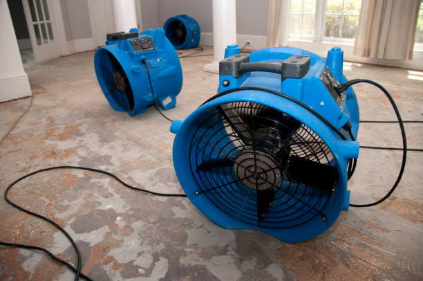 Best 24-hour water damage restoration  in Holtville, CA