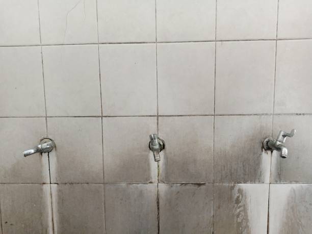 Best Sewage cleanup and water damage restoration  in Holtville, CA