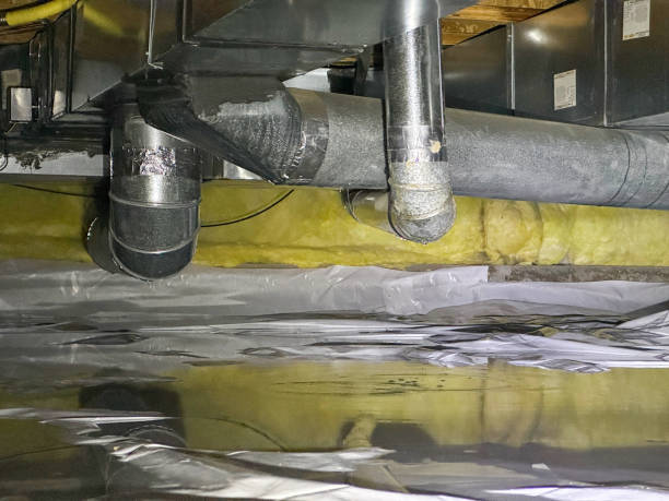 Best Commercial water damage restoration  in Holtville, CA