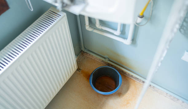 Best Flood damage cleanup  in Holtville, CA