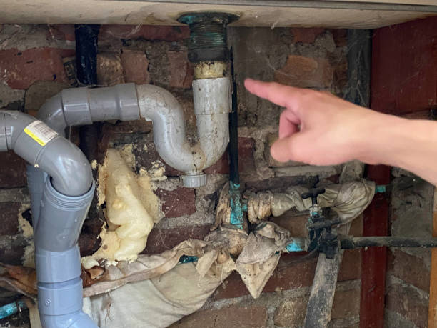 Best Local water damage restoration  in Holtville, CA