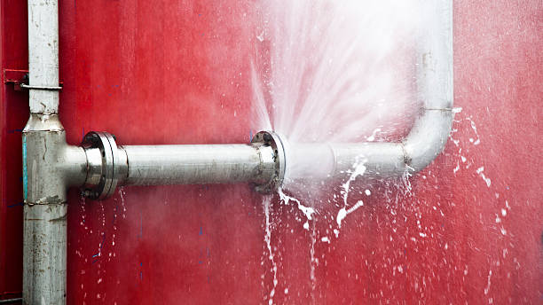 Best Water damage cleanup near me  in Holtville, CA